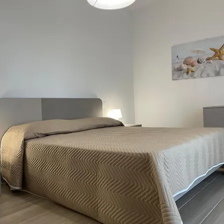Oasi 4